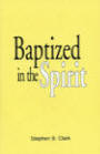 Baptized in the Spirit book
                                  cover