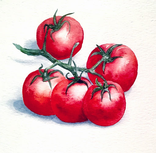 tomatos on the vine - artwork by Ros
                              Yates