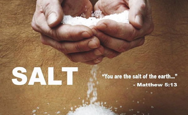you are the salt
                  of the earth image